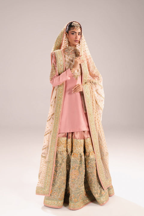 Rang - e - Ishq - Fahad Hussayn E - Storepk